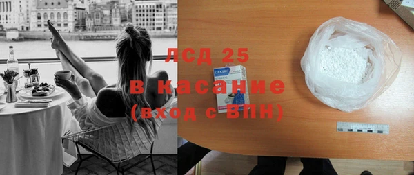 шишки Бородино