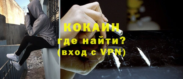 шишки Бородино