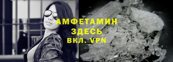 шишки Бородино