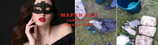 шишки Бородино