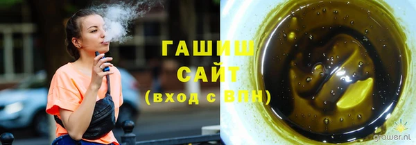 шишки Бородино