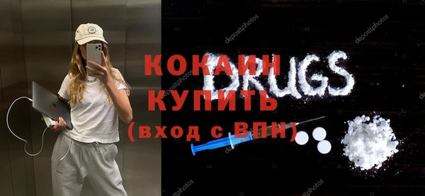 дживик Верея