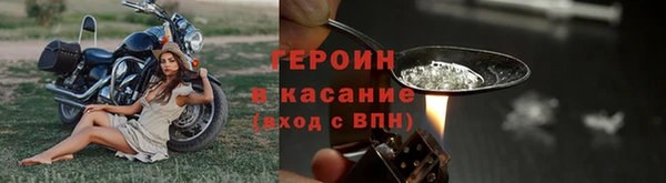 шишки Бородино