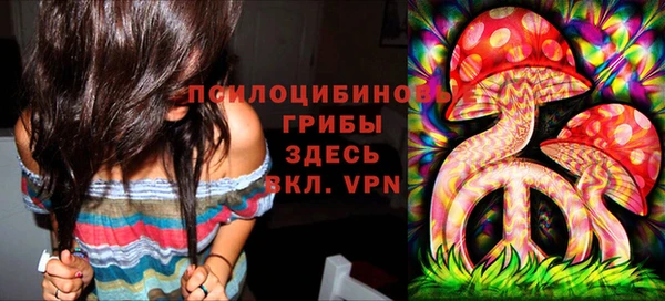 шишки Бородино