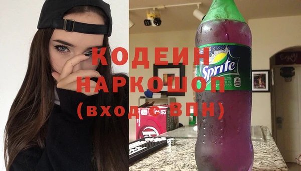 шишки Бородино