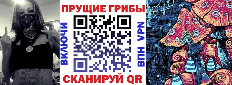Галлюциногенные грибы Cubensis Ипатово
